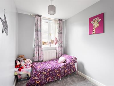 Picture 34